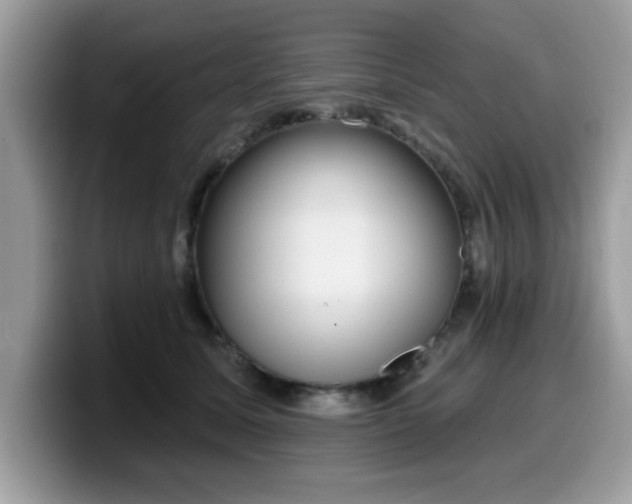 X0000099970611200805301335