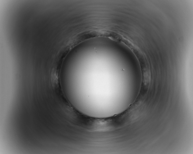 X0000099970613200805301335