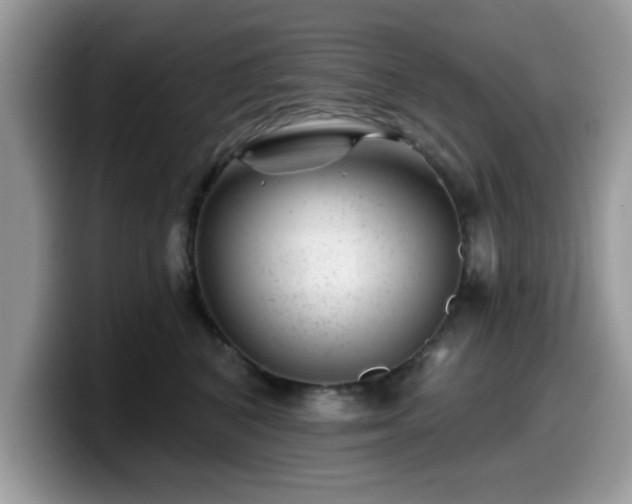 X0000099970616200805301335