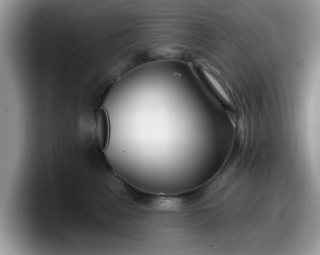 X0000099970617200805301335