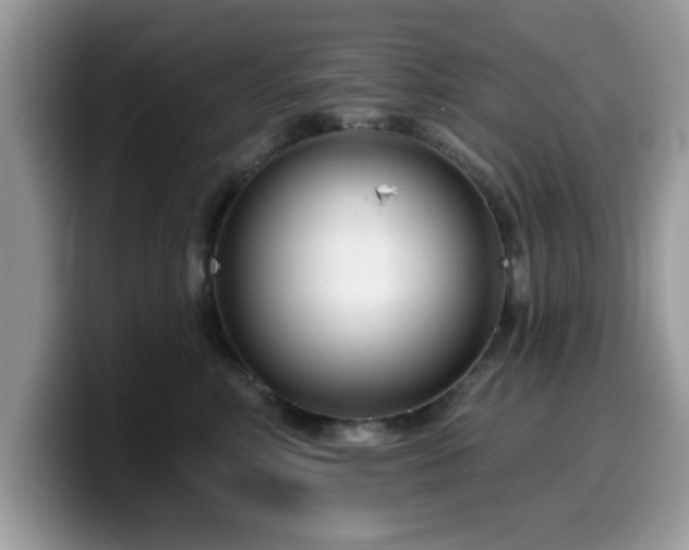 X0000099970618200805301335