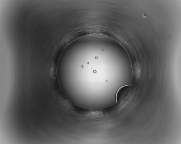 X0000099970619200805301335