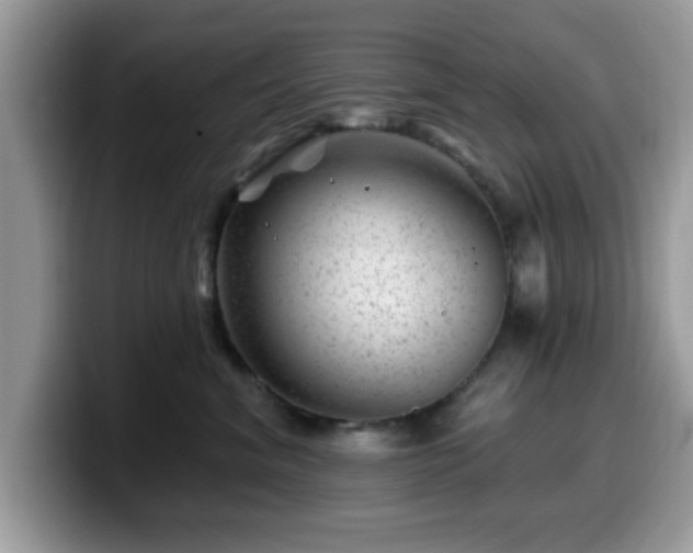 X0000099970620200805301335