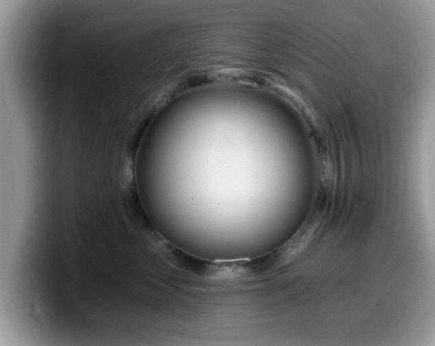 X0000099970621200805301335