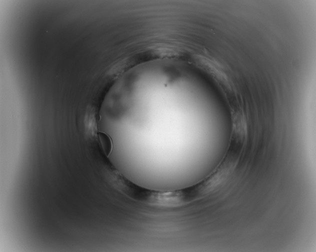 X0000099970622200805301335