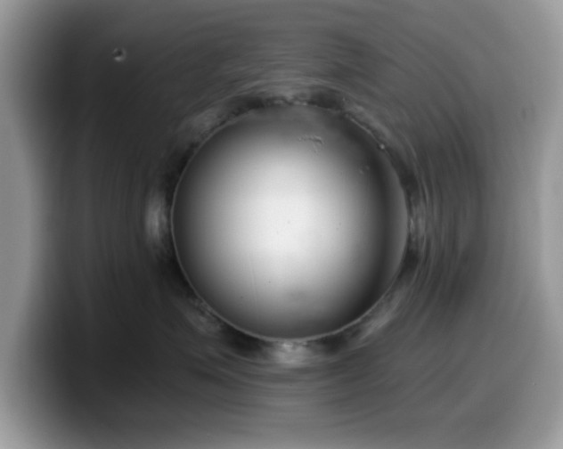 X0000099970623200805301335