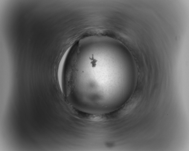 X0000099970624200805301335