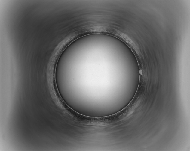 X0000099970625200805301334