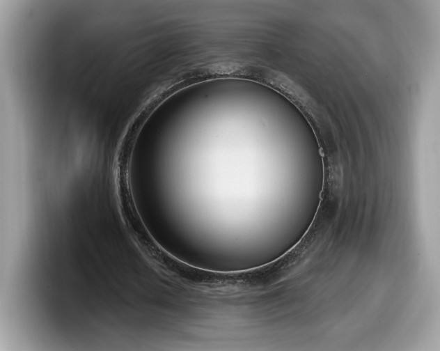 X0000099970626200805301334