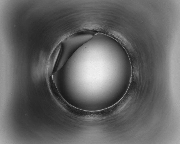 X0000099970630200805301334