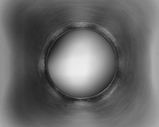 X0000099970633200805301334