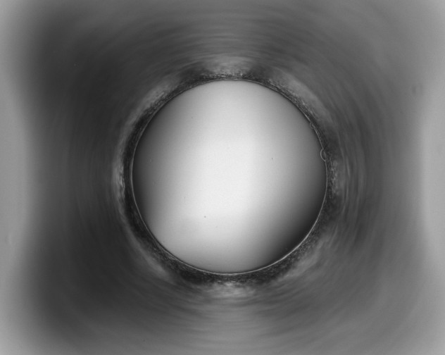 X0000099970634200805301334