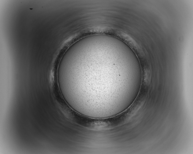 X0000099970636200805301334