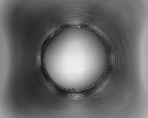 X0000099970638200805301334