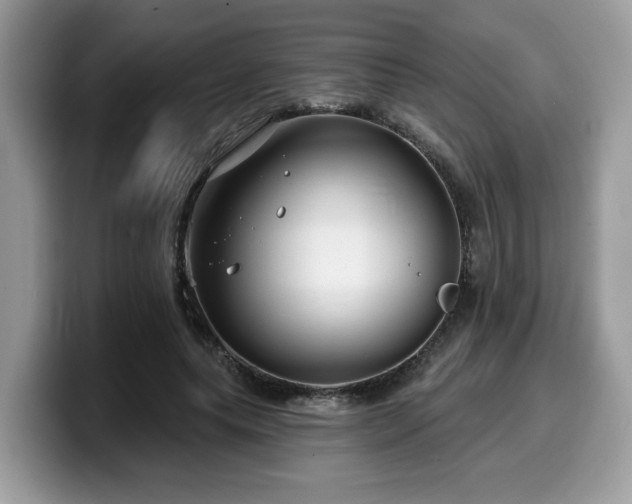 X0000099970639200805301334