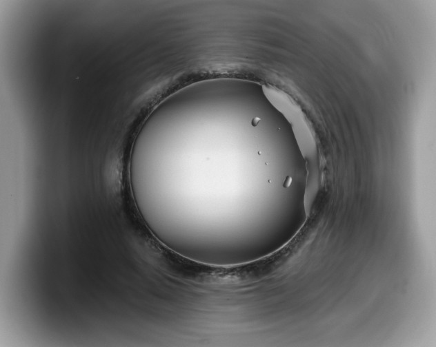 X0000099970640200805301334