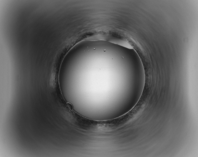 X0000099970641200805301334