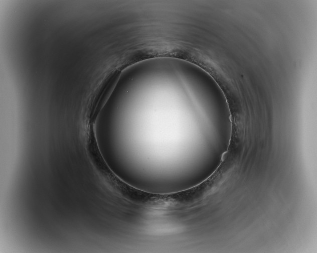 X0000099970642200805301334