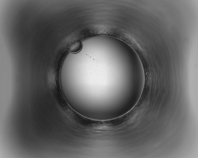 X0000099970643200805301334