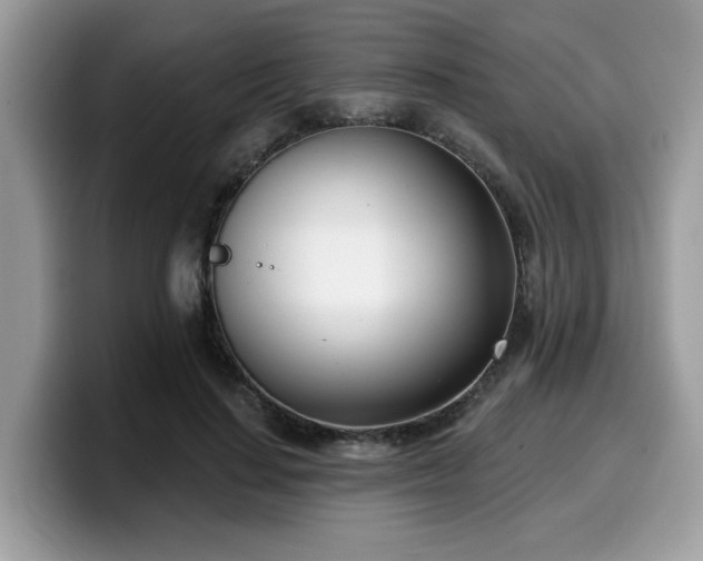 X0000099970644200805301334