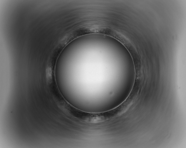 X0000099970646200805301334