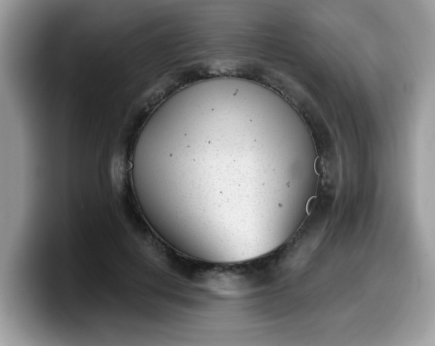 X0000099970648200805301334