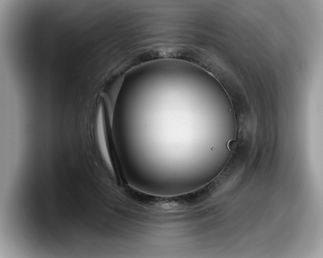 X0000099970650200805301335