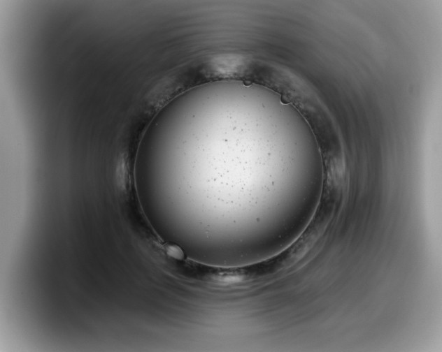 X0000099970651200805301335