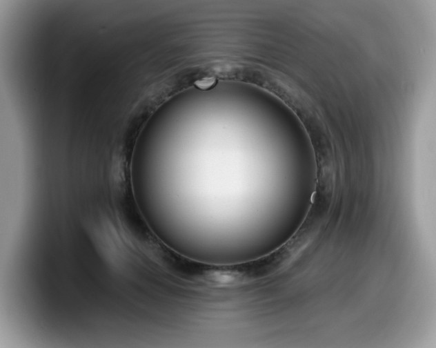 X0000099970654200805301335