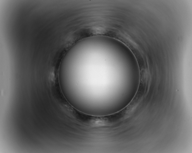 X0000099970655200805301335