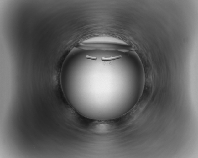 X0000099970658200805301335