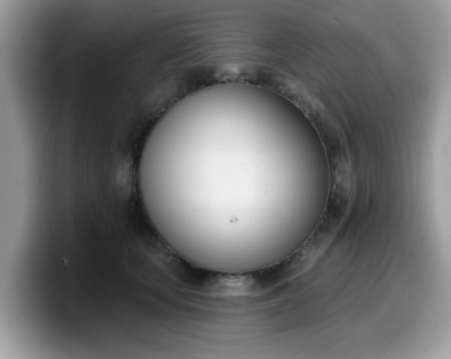 X0000099970659200805301335