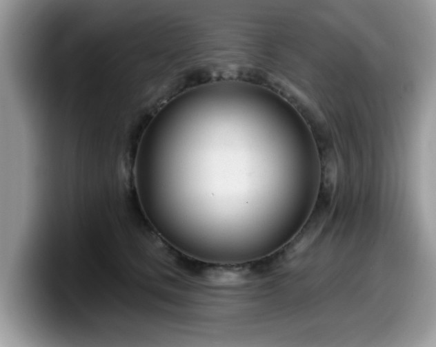 X0000099970661200805301335