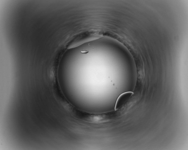 X0000099970662200805301335