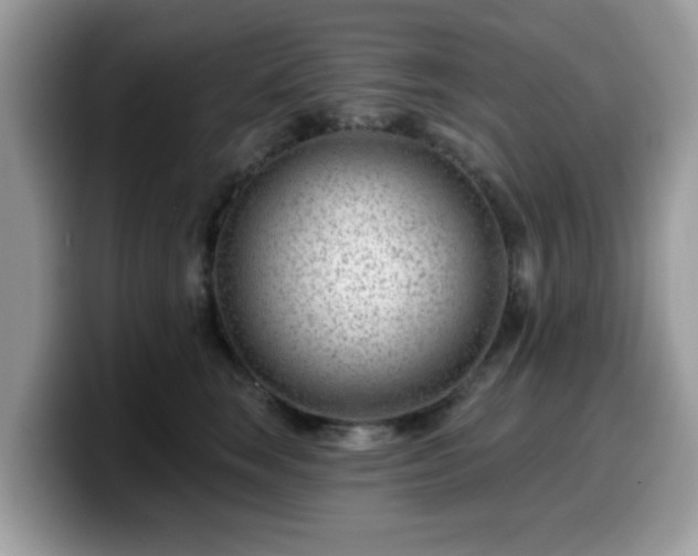 X0000099970663200805301335