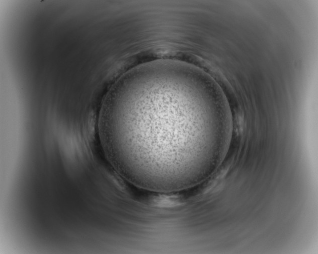 X0000099970664200805301335