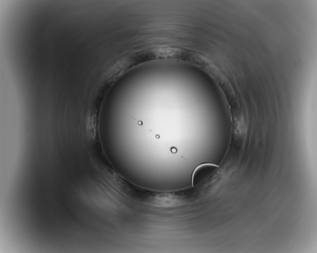 X0000099970666200805301335