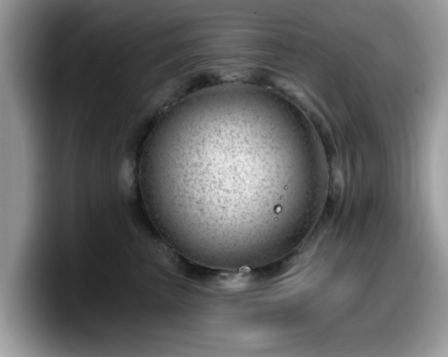 X0000099970667200805301335