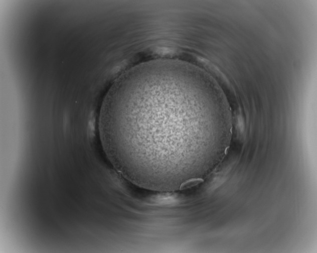 X0000099970668200805301335