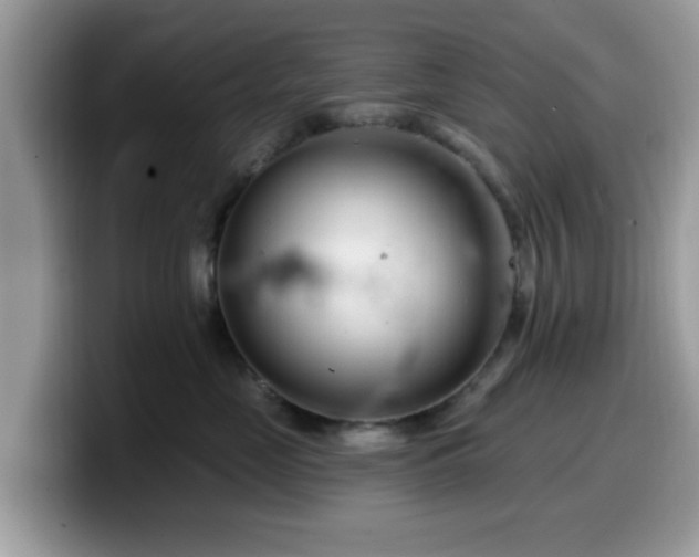 X0000099970669200805301335