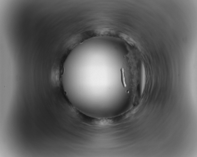 X0000099970670200805301335