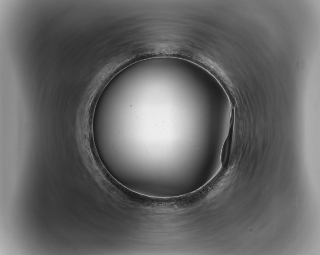 X0000099970673200805301334