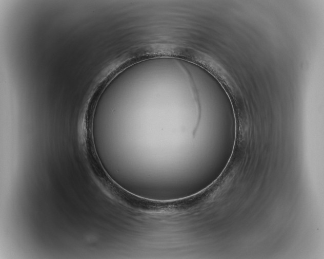 X0000099970674200805301334