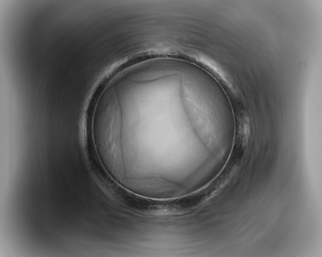 X0000099970678200805301334