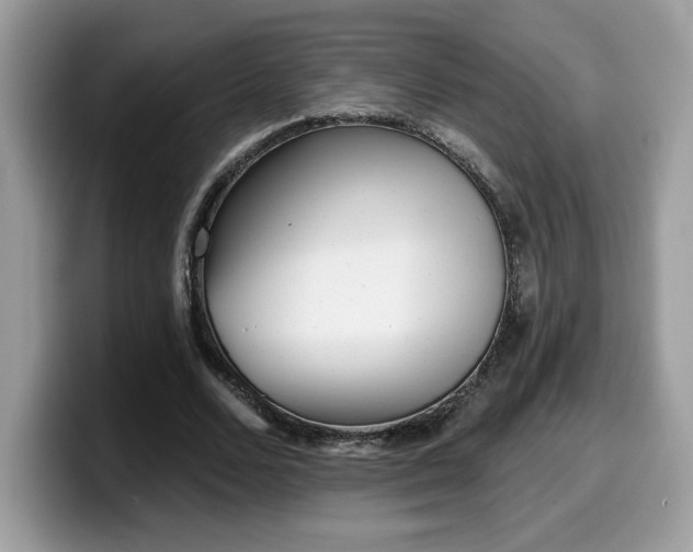 X0000099970680200805301334