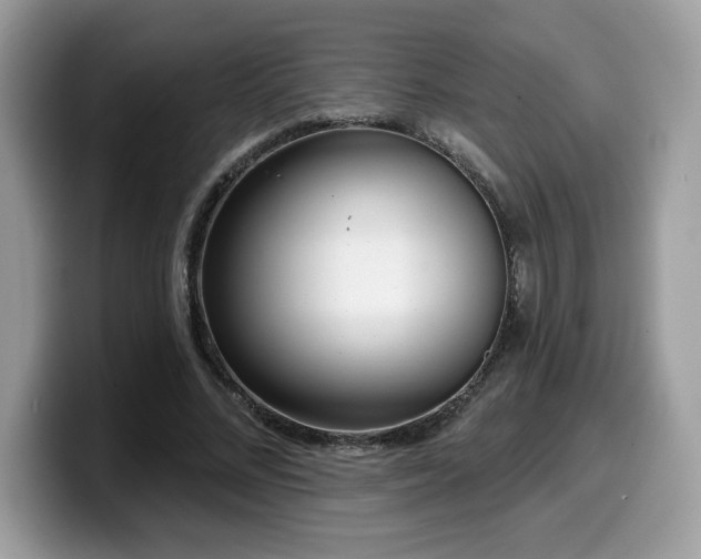 X0000099970684200805301334