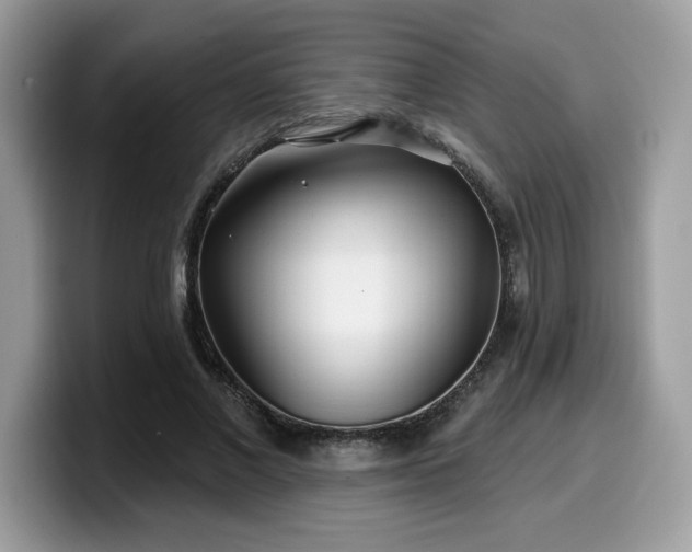 X0000099970685200805301334