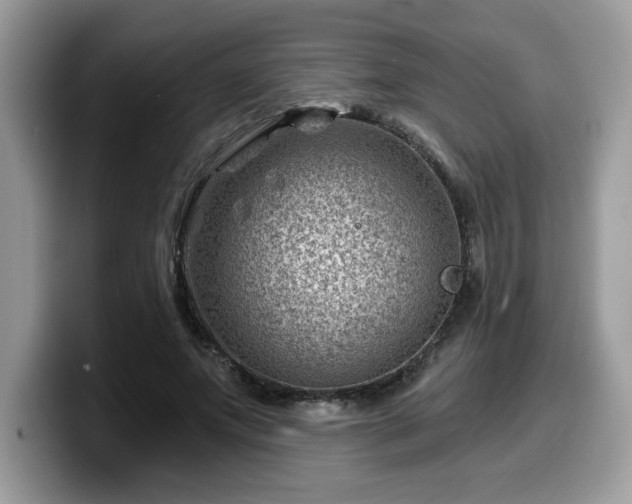 X0000099970687200805301334