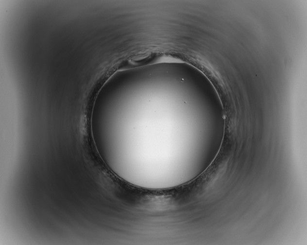 X0000099970689200805301334