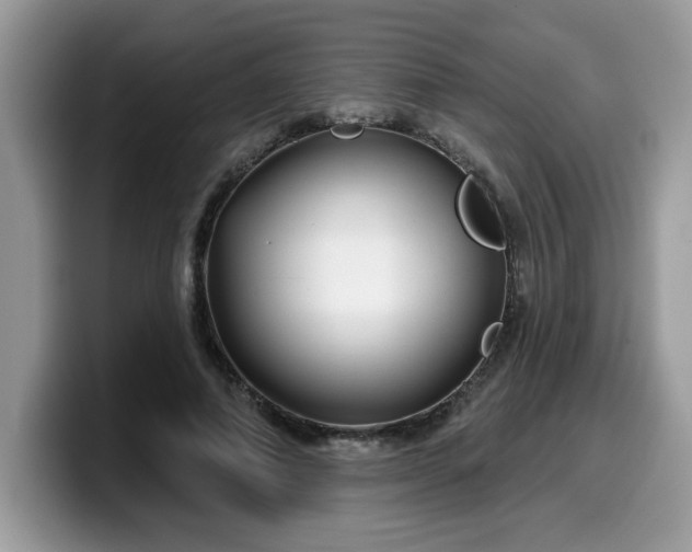 X0000099970690200805301334